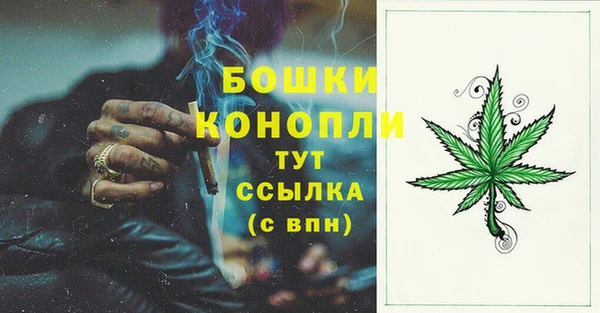 винт Богданович